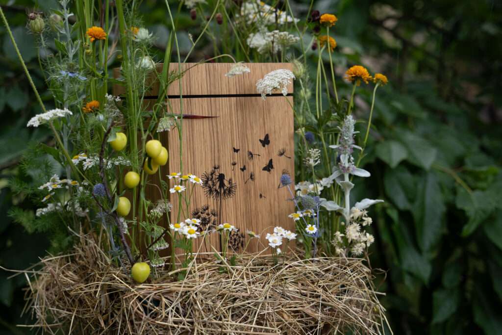 Bestattungsarten kronach friedwaldbestattung