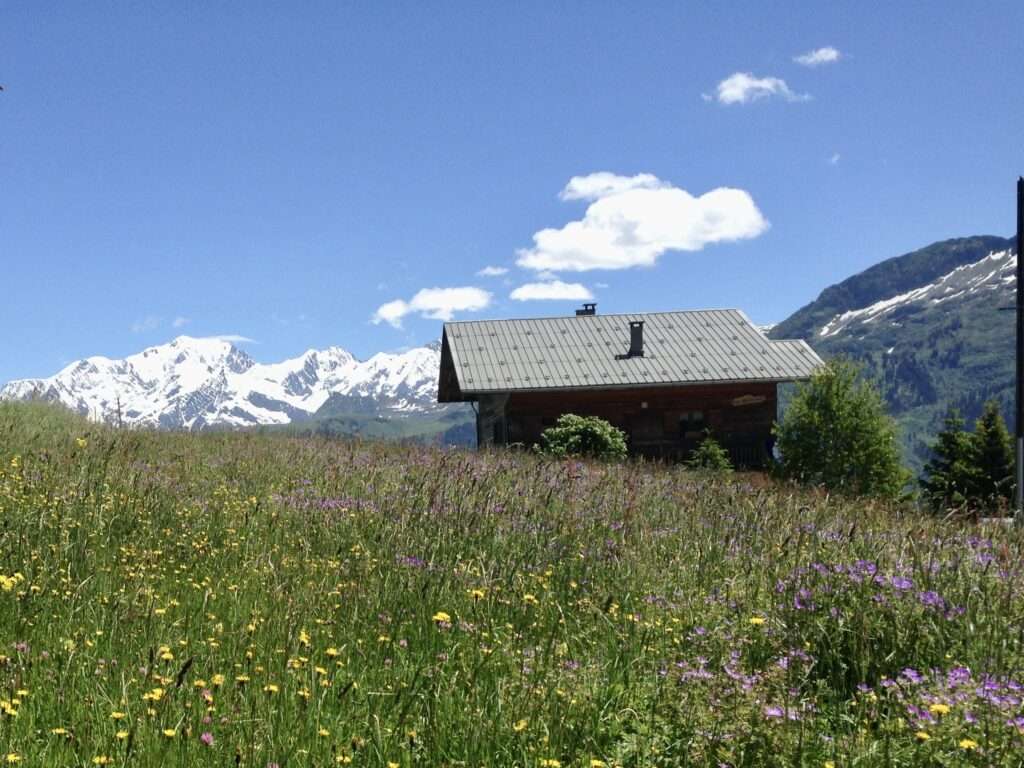 Bestattungsarten almwiesenbestattung